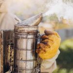 A beekeeper holds their bee smoker with yellow hive-grade gloves and a jacket on. There is smoke releasing from the smoker.