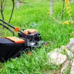 A close-up of a black lawn mower. Someone pushes the mower through a weedy area in their backyard near rocks.