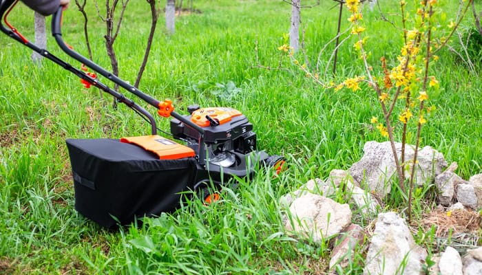 A close-up of a black lawn mower. Someone pushes the mower through a weedy area in their backyard near rocks.
