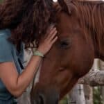 A young person placing their hands on the face of a calm horse and touching their forehead to the animal's forehead.