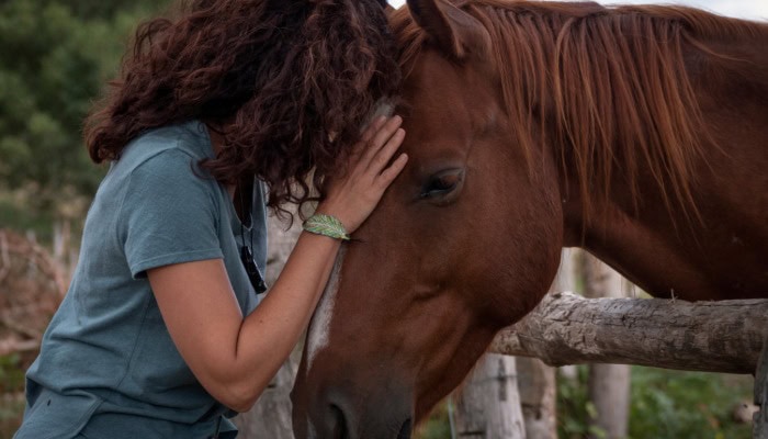 A young person placing their hands on the face of a calm horse and touching their forehead to the animal's forehead.